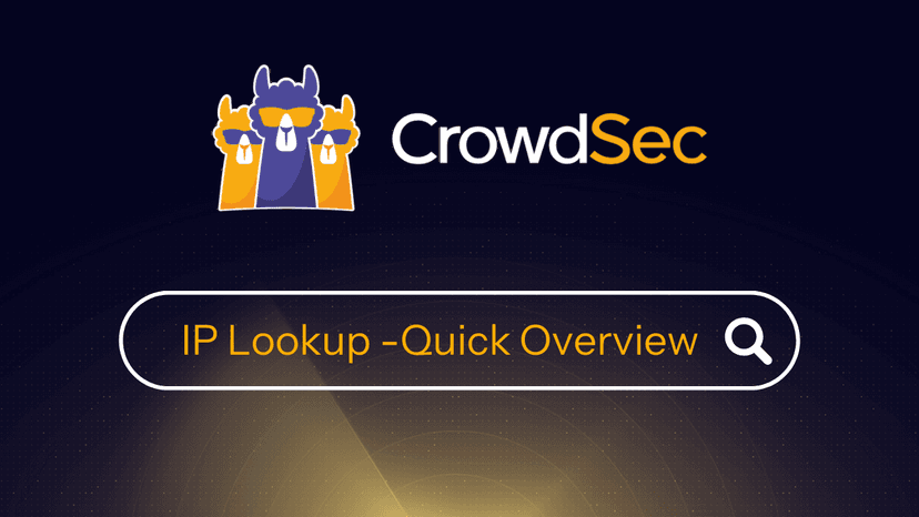 CrowdSec’s Free IP Lookup Tool in Action