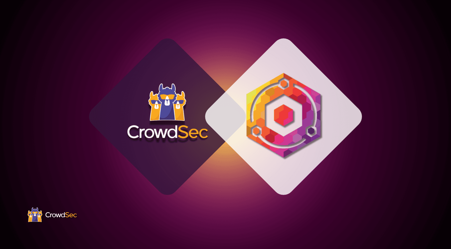 enhancing web server security with npmplus and crowdsec