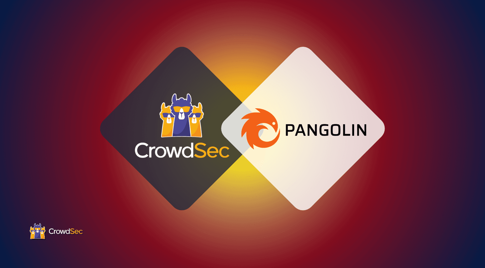 host secure tunnels with crowdsec and pangolin
